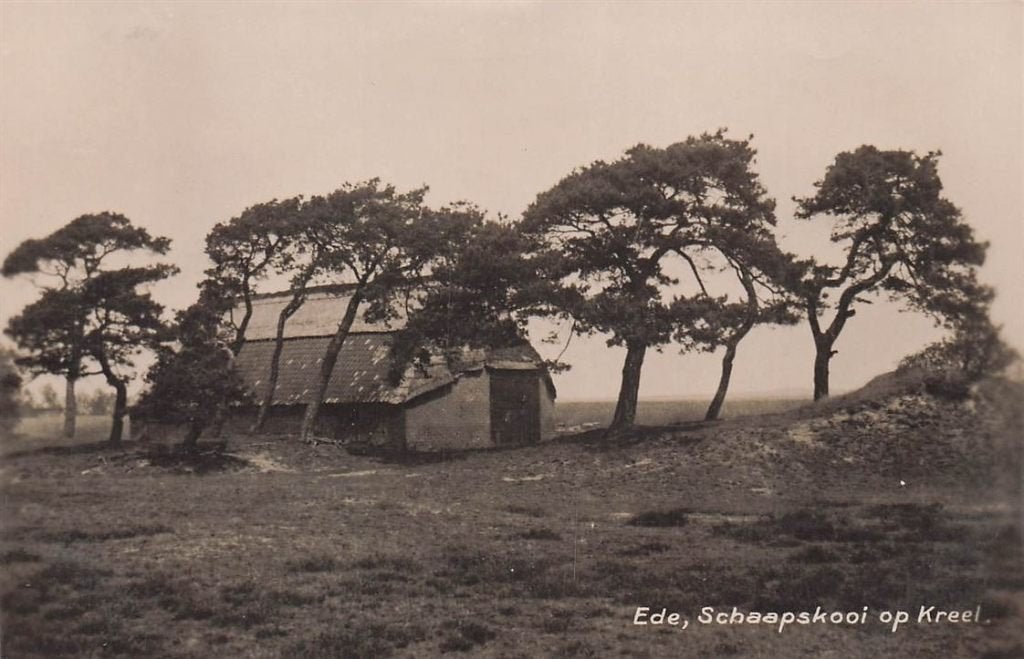 702-190-025 Ede Schaapskooi Op Kreel., Verzamelen, Verzenden, Voor 1920, Gelderland