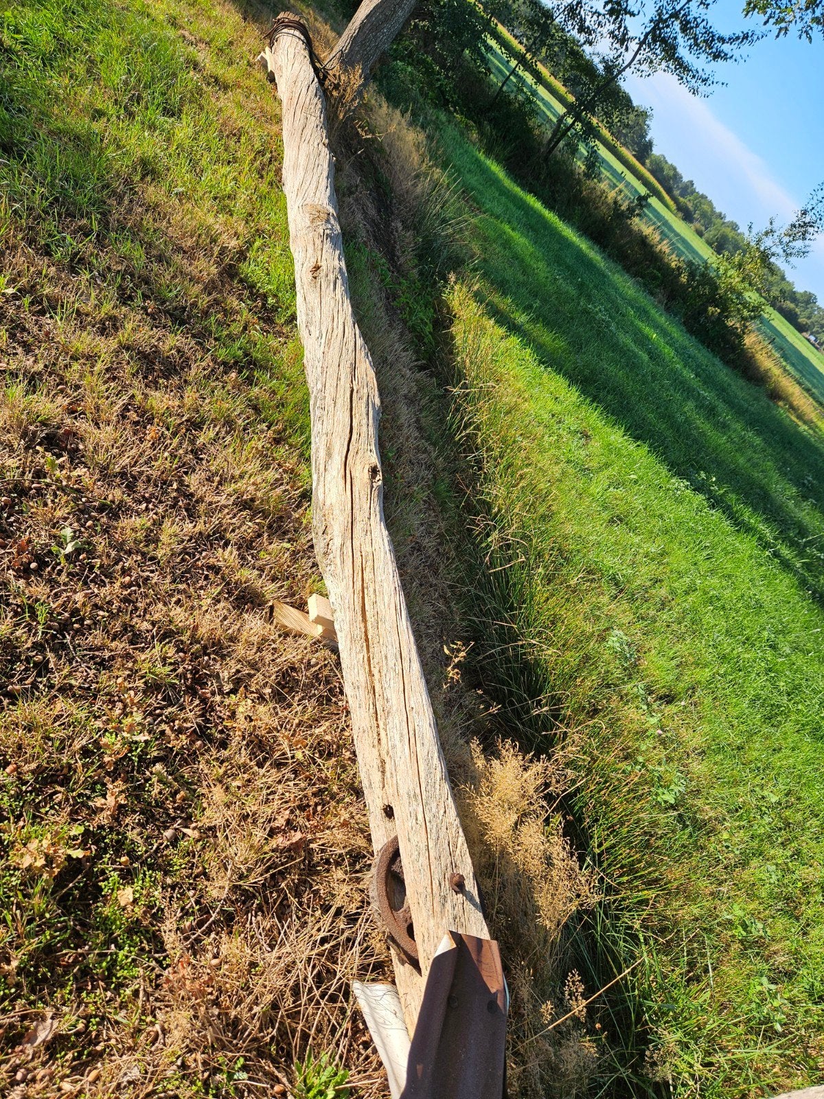 4x  eiken hooiberg palen,  ongeveer 7,5 meter lang,, Ophalen of Verzenden, 250 cm of meer, Palen