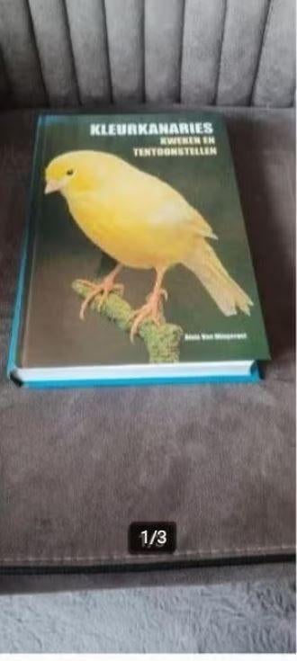 Kleurkanaries kweken en tentoonstellen, Ophalen of Verzenden, Zo goed als nieuw, Honden