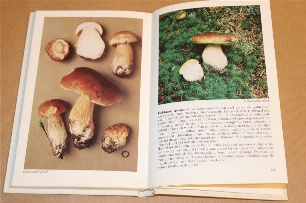 Paddestoelen Herkennen — Met de Foto's van Roger Phillips, Ophalen of Verzenden, Gelezen, Bloemen, Planten en Bomen