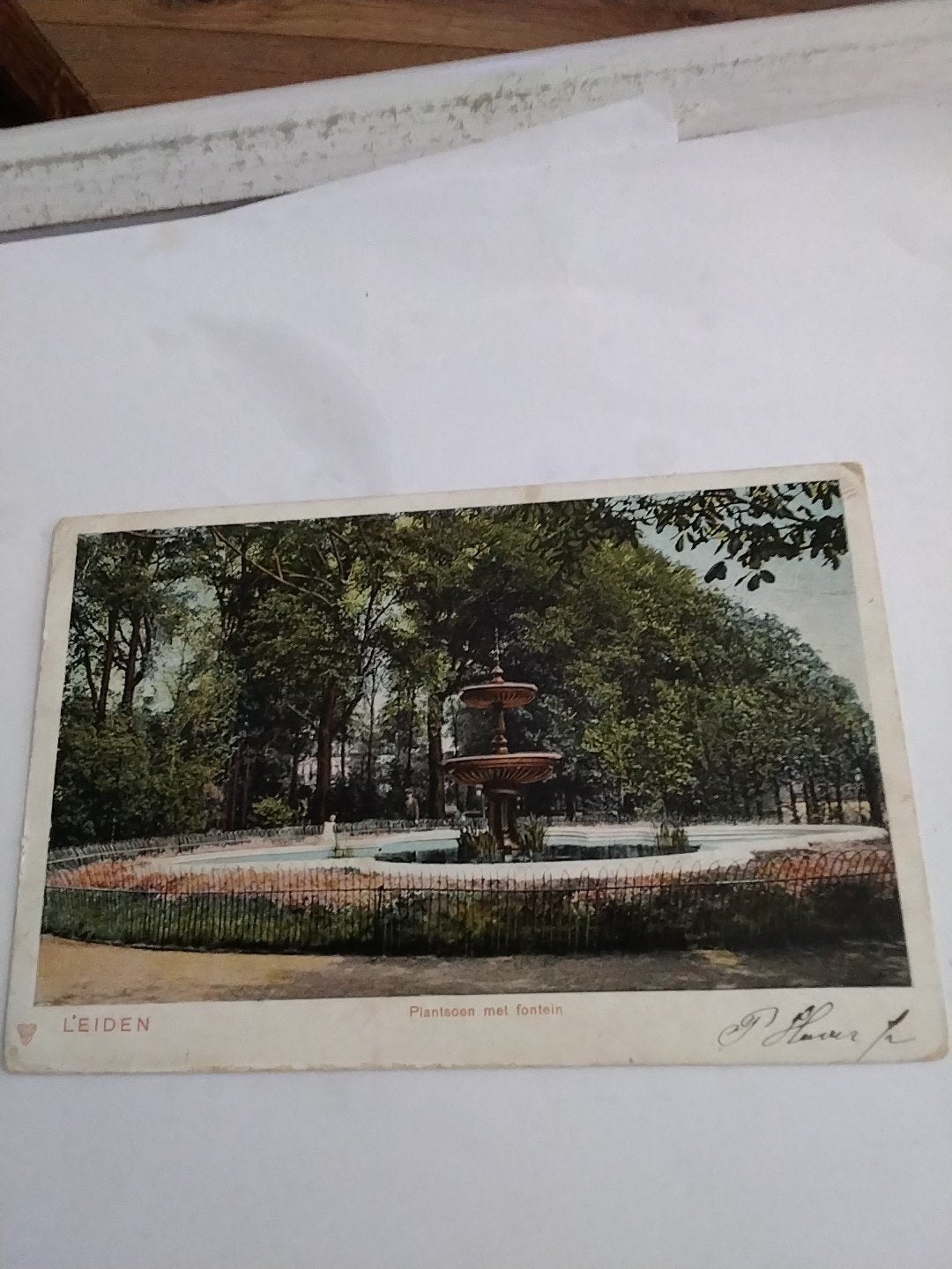 Oude ansichtkaart Leiden, Plantsoen met fontein, 1903, Ophalen of Verzenden, Voor 1920, Gelopen, Zuid-Holland