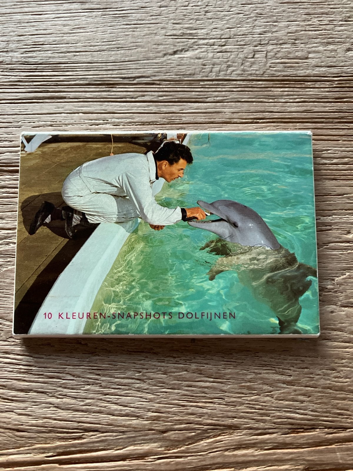 Dolfinarium Harderwijk - 10 kleuren-snapshots dolfijnen, Ophalen of Verzenden, 1960 tot 1980, Ongelopen, Natuur