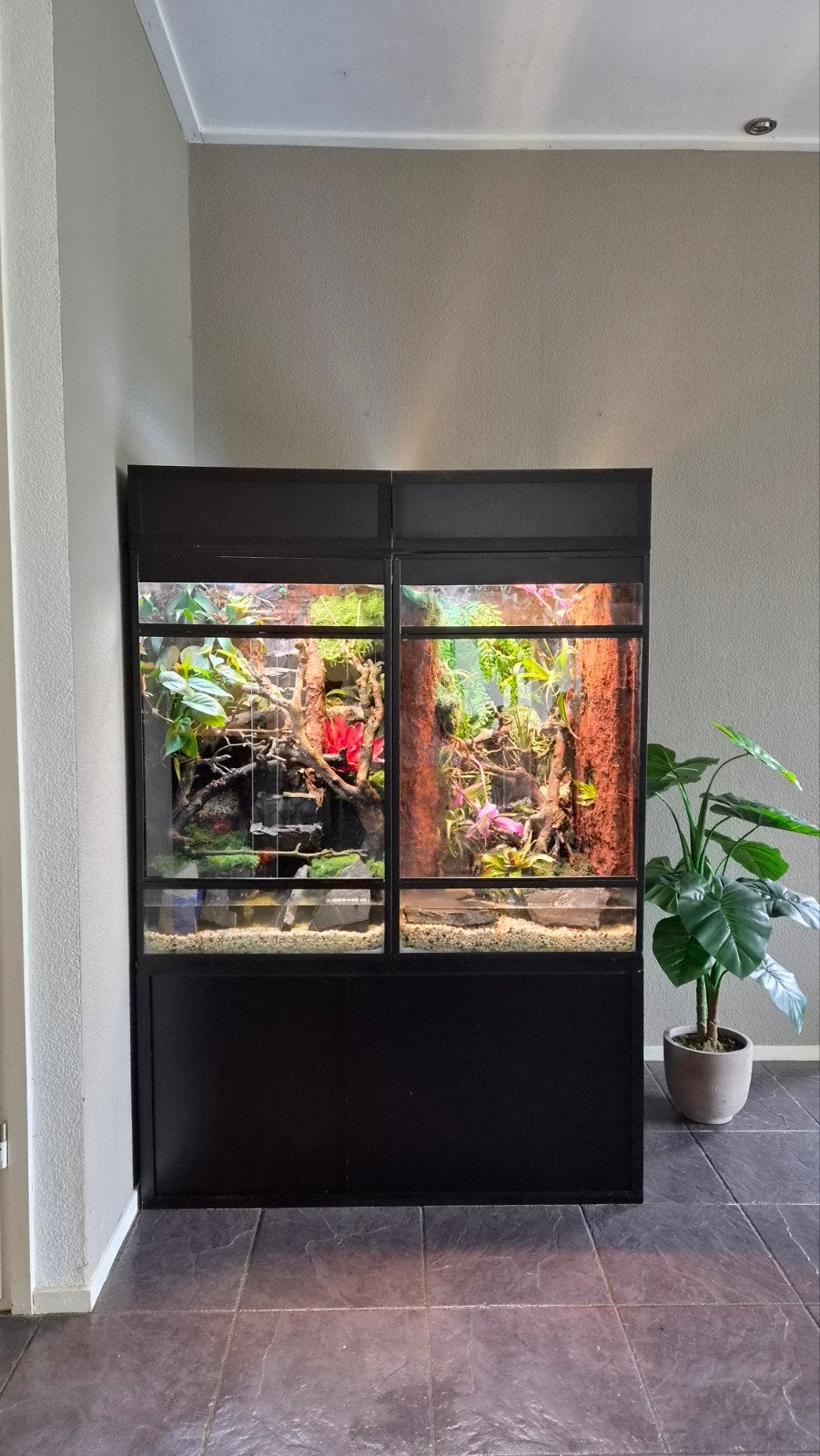 Paludarium, 2x volledig ingericht incl. dieren, Ophalen, Zo goed als nieuw, Terrarium of Paludarium