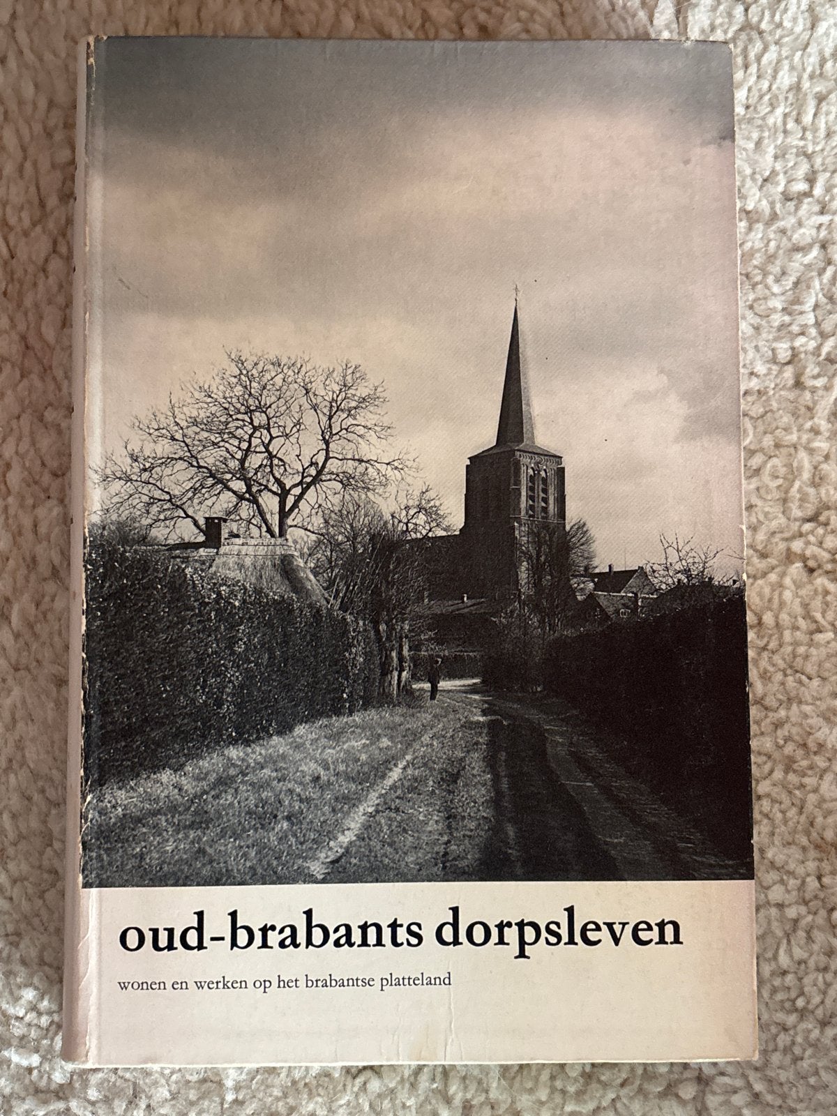 Oud-Brabants Dorpsleven - Wonen en werken op het platteland, Boeken, Ophalen of Verzenden, 20e eeuw of later, Gelezen