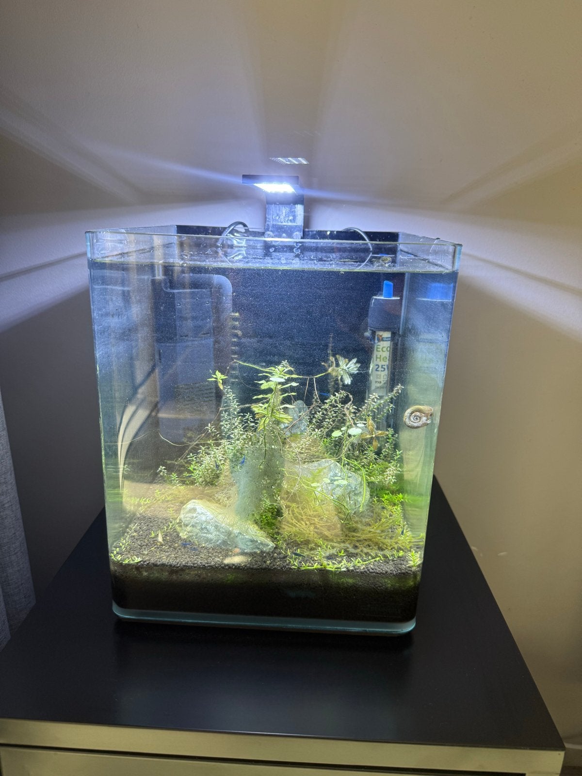 Dennerle Nano Cube 20L, Ophalen, Leeg aquarium