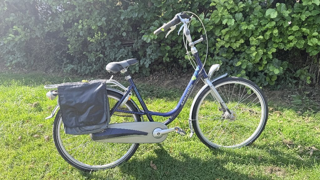 Gazalle Bloom Moederfiets, Ophalen, Gebruikt, Versnellingen, 0 zitjes