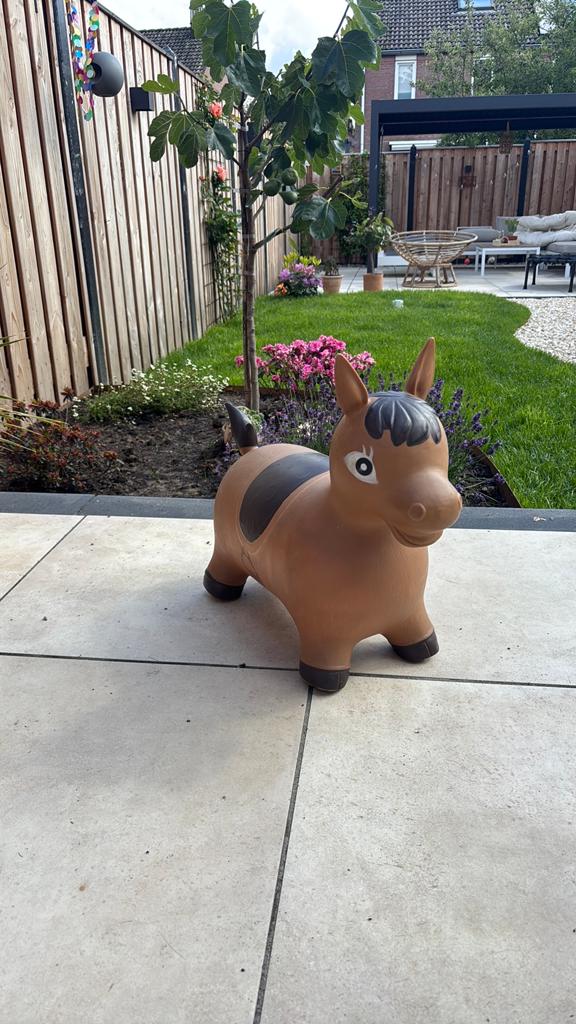 Springpaard, Ophalen of Verzenden, Overige typen