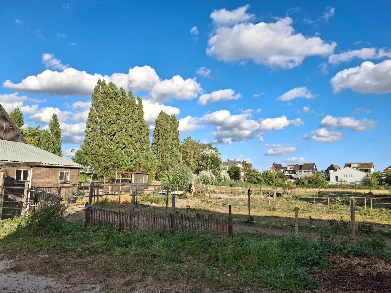 24/7 buiten paddock op 'doe het zelf'-stal nabij Aalsmeer, Stalling, 2 of 3 paarden of pony's
