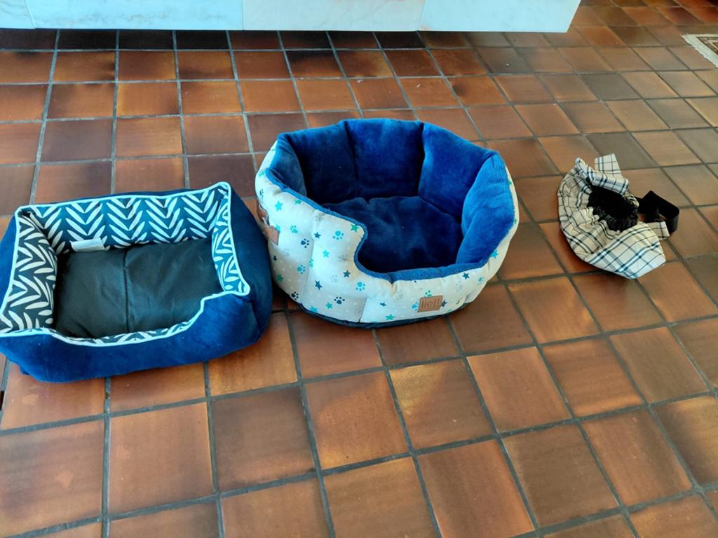 Honden mand en honden tas, Ophalen