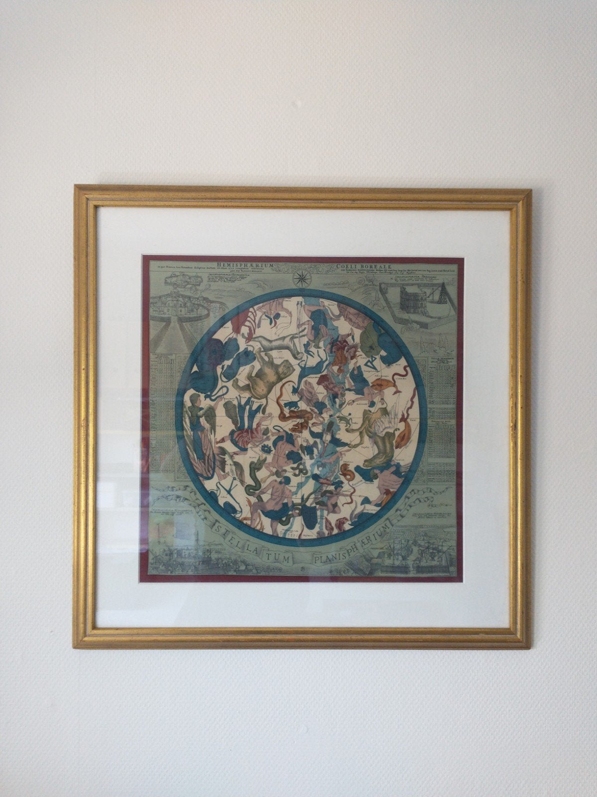 Ingelijste reproductie Hemisphaerium Coeli Boreale, Ophalen of Verzenden, Klassiek, Dieren, Overige ondergronden