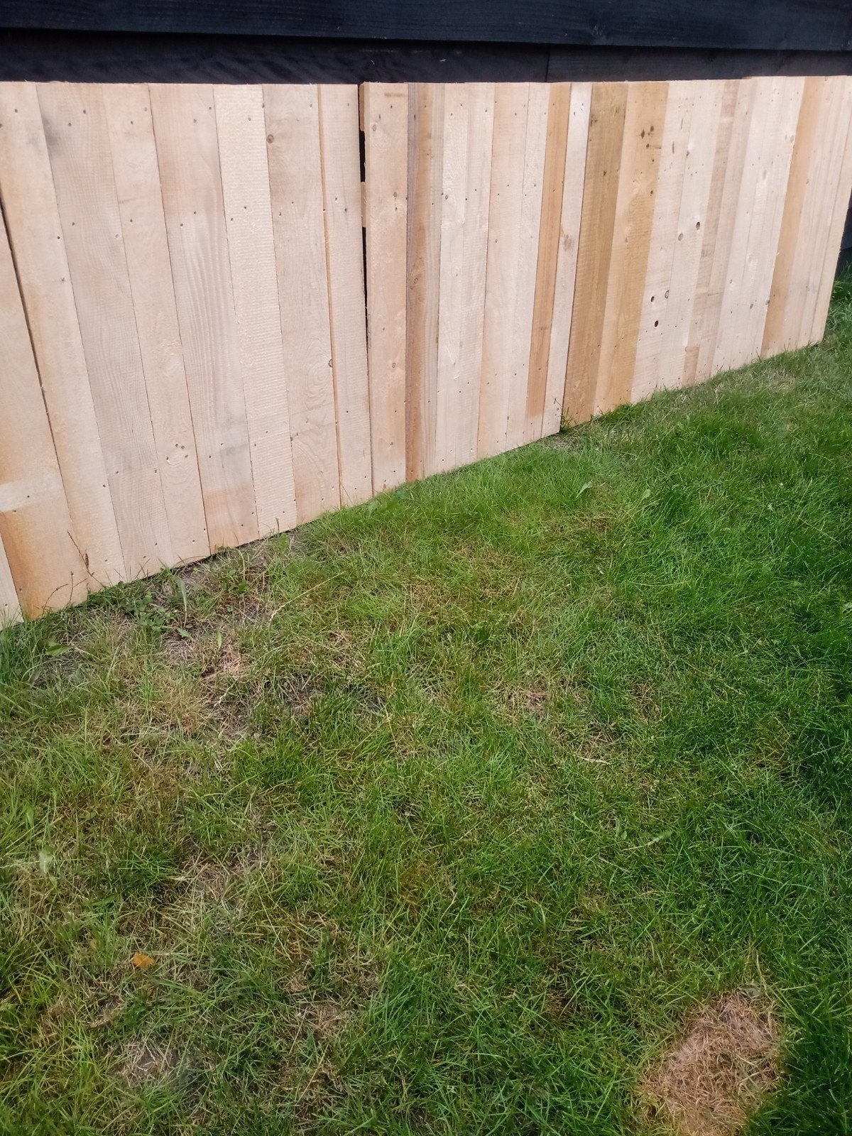 Mooie houten panelen vurenhout. 80x100 cm, Doe-het-zelf en Verbouw, Platen en Panelen, Ophalen, Zo goed als nieuw, Hout, 20 tot 50 mm