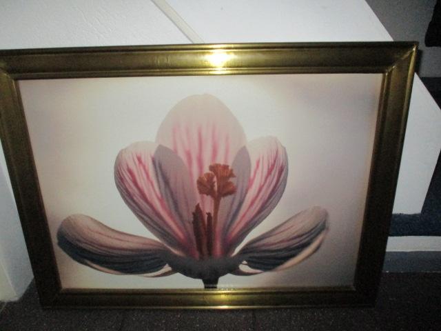 Schilderij groot bloem modern ingelijst gouden zware lijst, Huis en Inrichting, Woonaccessoires | Schilderijen, Tekeningen en Foto's