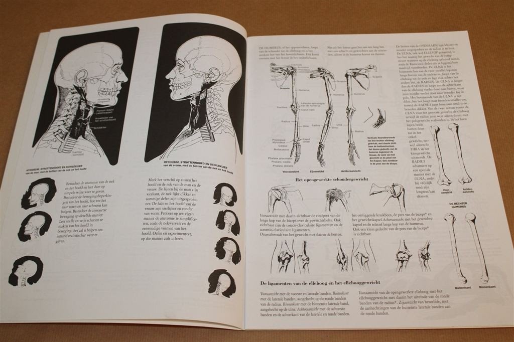 Anatomie Tekenen — Skelet, Spieren, Houding & Meer, Ophalen of Verzenden, Gelezen, Tekenen en Schilderen