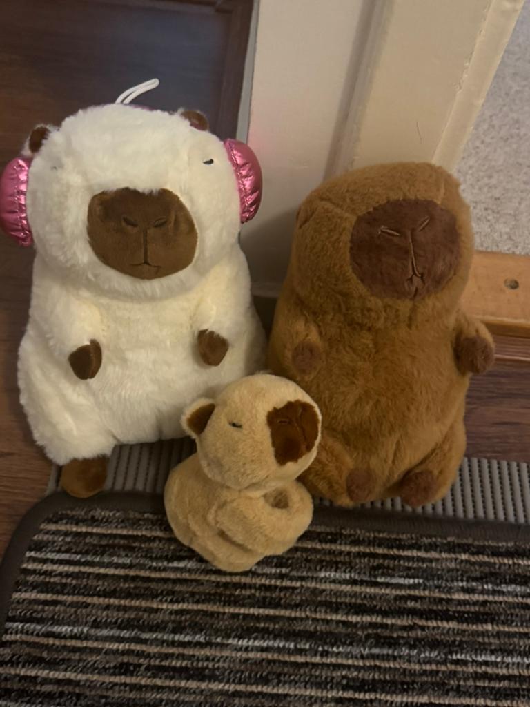 Capybara’s pluche, Ophalen of Verzenden, Zo goed als nieuw, Overige typen