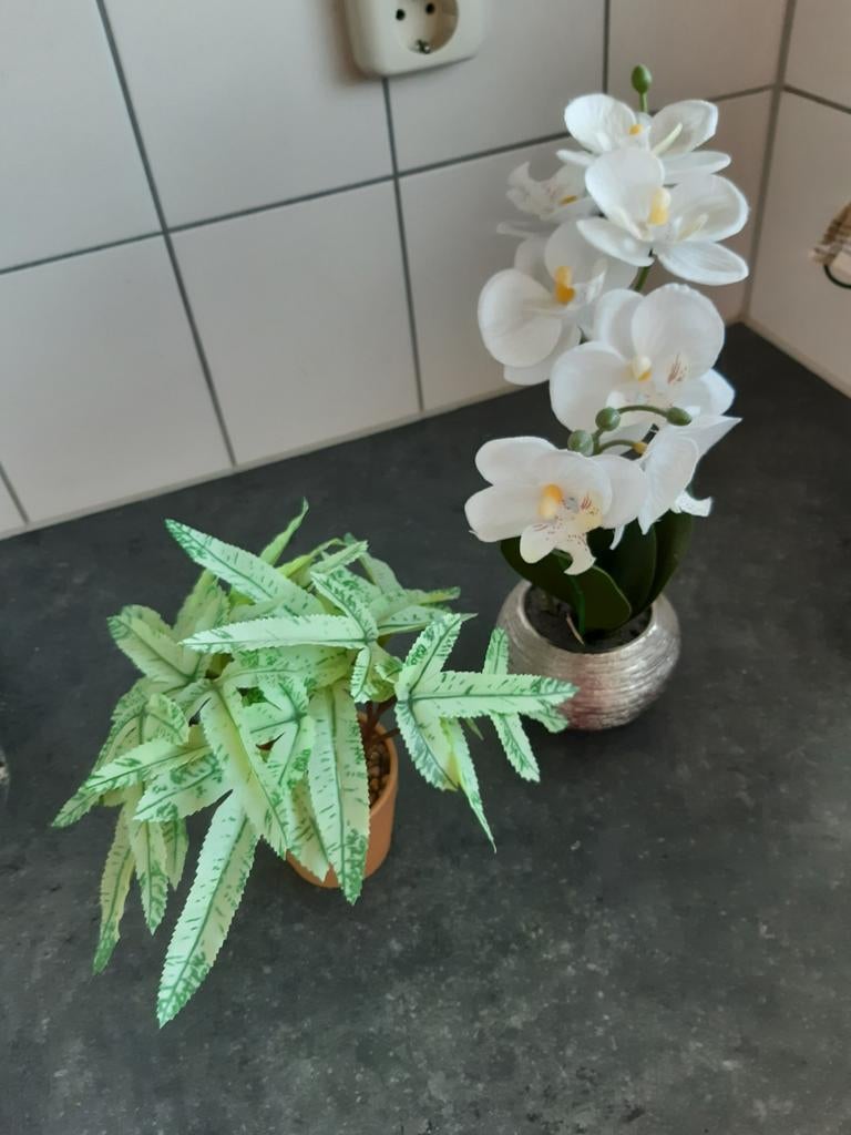 2 nep planten orchideeën, Ophalen, Binnen, Kunstplant, Overige materialen