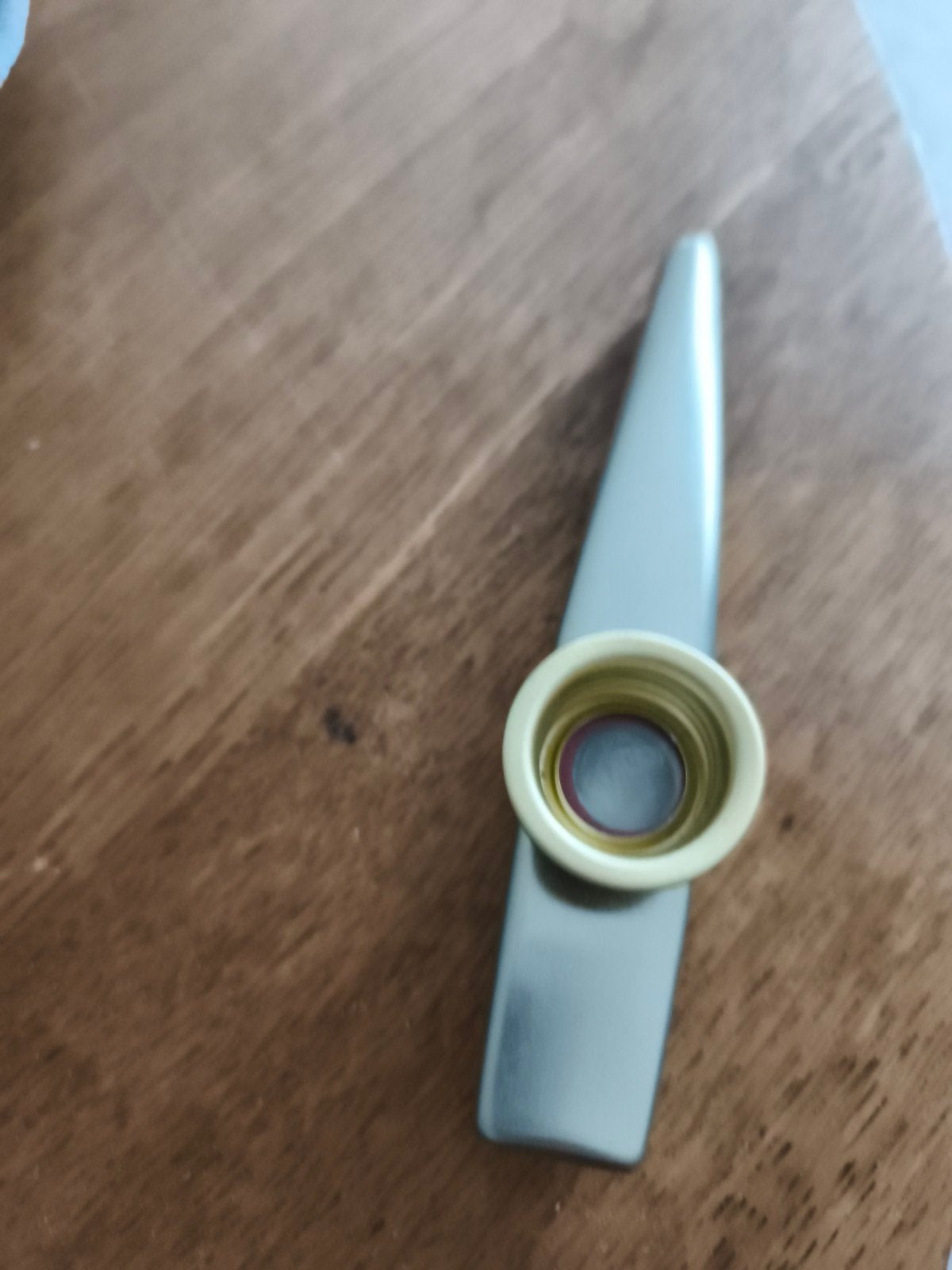 Kazoo - Muziekinstrument voor beginners, Muziek en Instrumenten, Ophalen of Verzenden, Zo goed als nieuw, Overige soorten