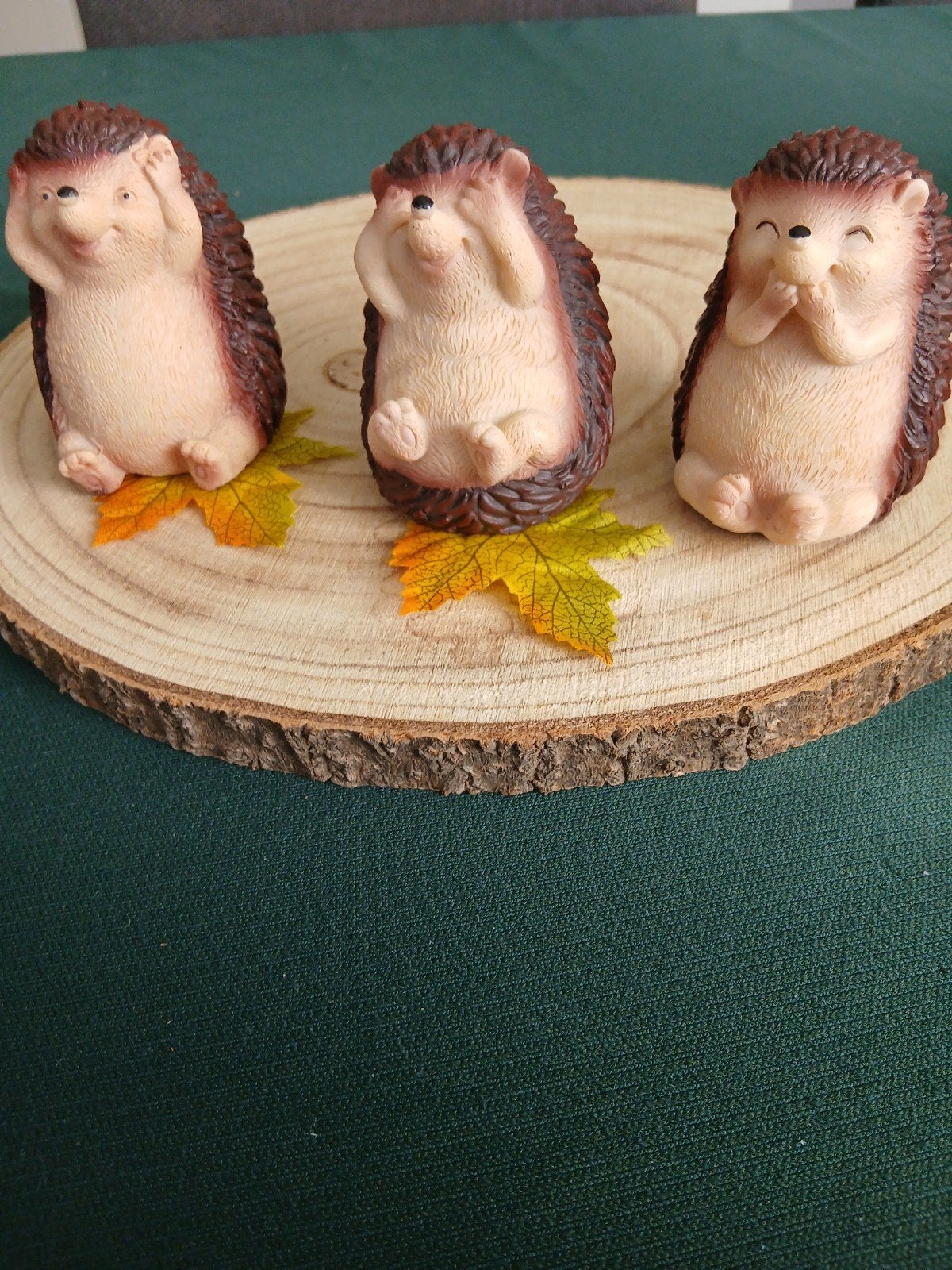 3 Egeltjes zonder plankje, Verzamelen, Ophalen of Verzenden, Zo goed als nieuw, Dier