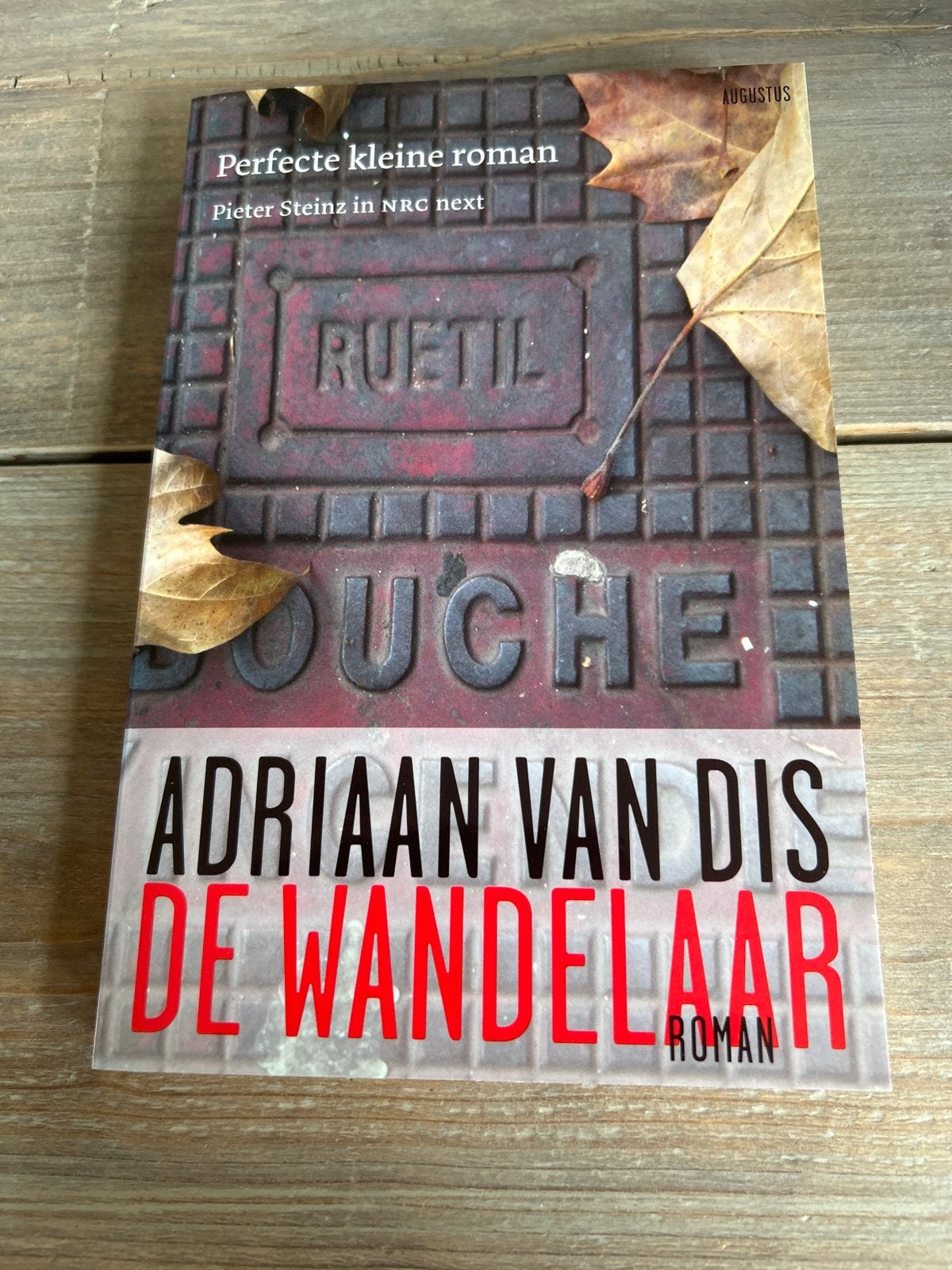 Adriaan van Dis - De Wandelaar (Roman), Ophalen of Verzenden, Zo goed als nieuw, Nederland