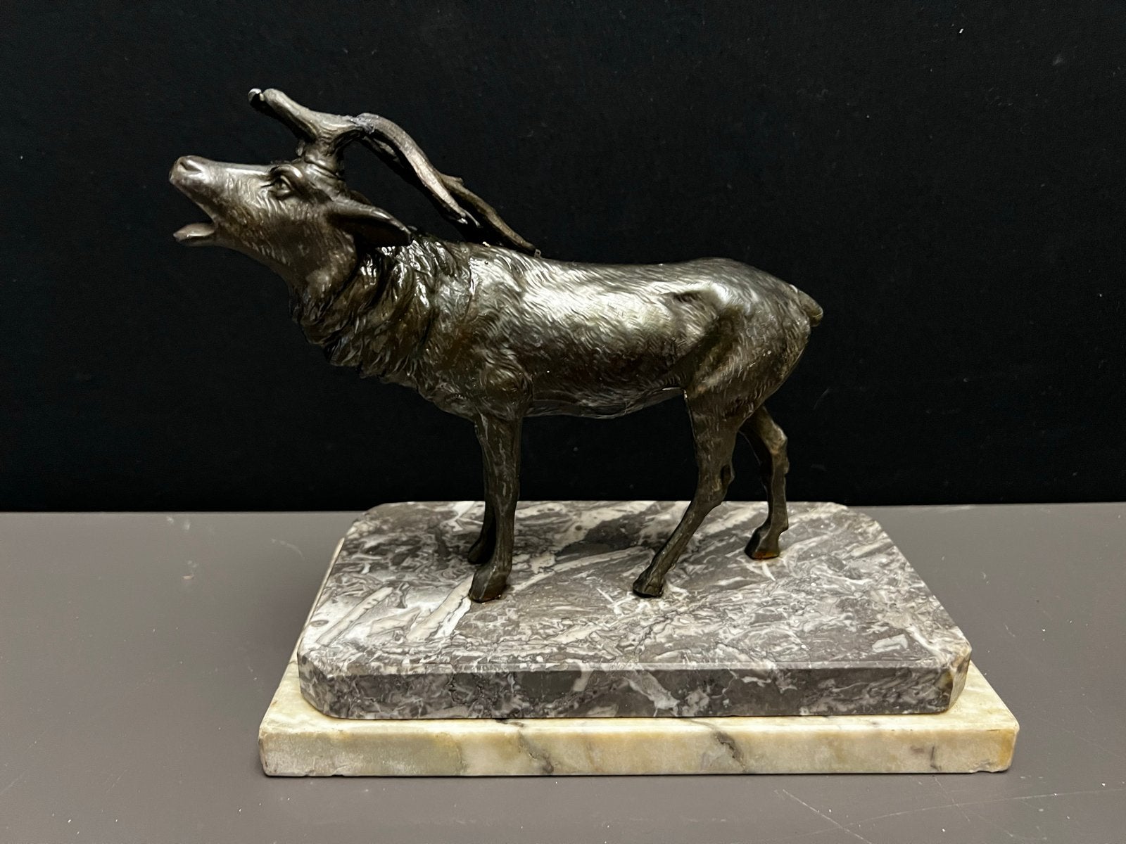 Mooi decoratief beeld roepend/burlend hert op marmeren voet, Minder dan 20 cm, Ophalen of Verzenden, Beeld, Bruin