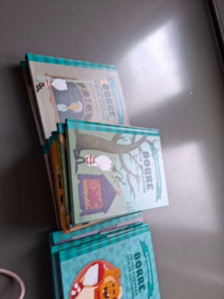 Borre Boeken Collectie - 22 Stuks groep 5, Boeken, Fictie algemeen, Ophalen of Verzenden, Zo goed als nieuw, Jeroen Hoogerwerf