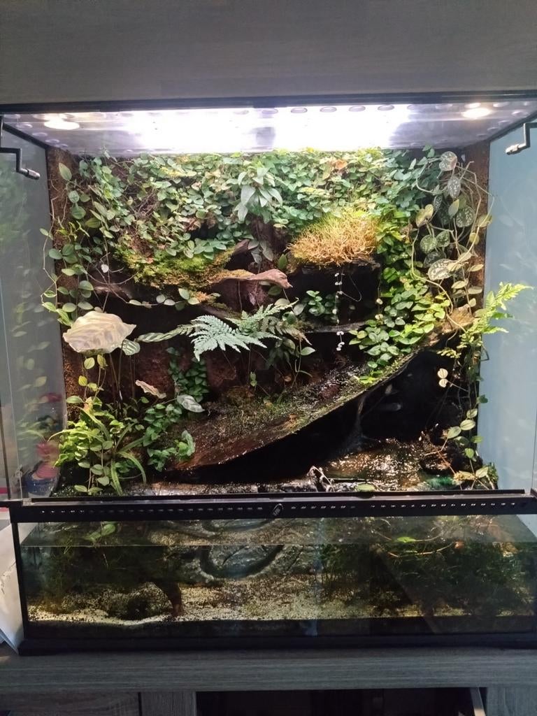 Paludarium Exo Terra 90x45x90 compleet, Dieren en Toebehoren, Reptielen en Amfibieën | Toebehoren, Ophalen, Zo goed als nieuw