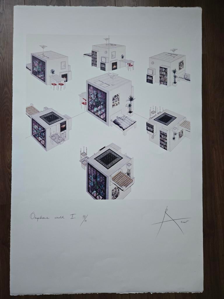 Omgekeerde wereld I Rob Scholte, Antiek en Kunst, Kunst | Litho's en Zeefdrukken, Ophalen of Verzenden