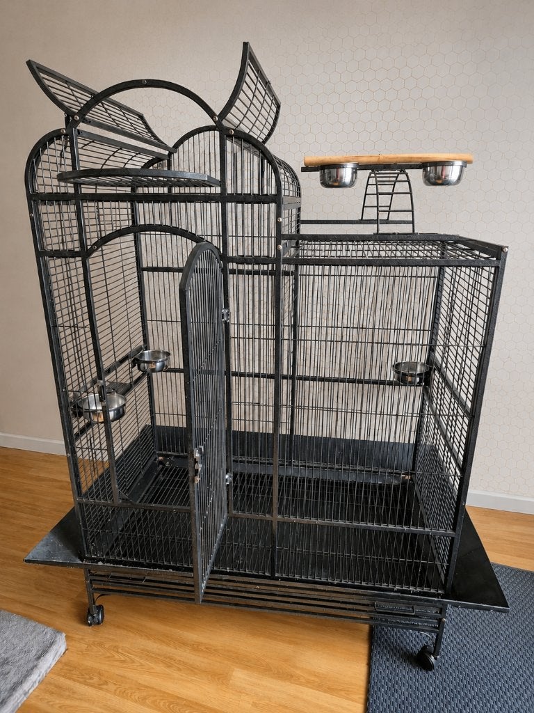 papegaaienkooi, Meerdere dieren, Papegaai