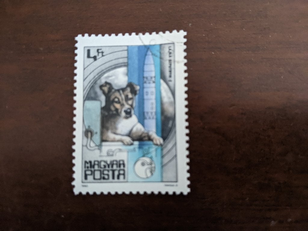 HONGARIJE 1962; LAIKA naar de maan LEES !, Verzenden, Gestempeld, Dier of Natuur