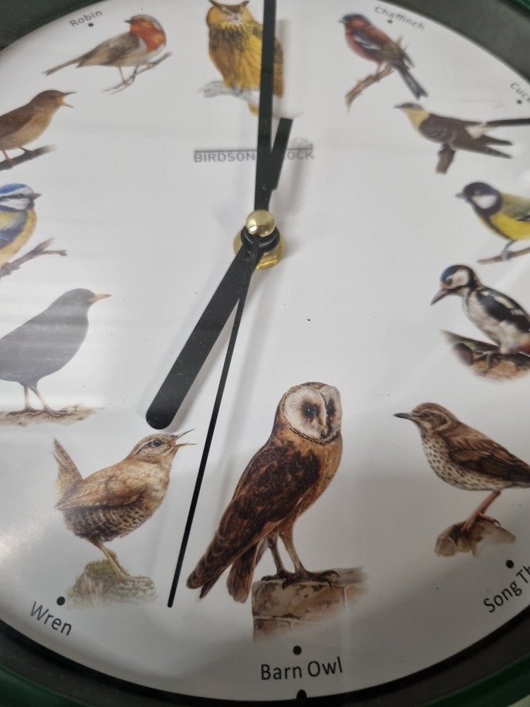 wandklok met vogels en geluid, Ophalen of Verzenden, 'T Olde Gre-j, Info@toldegrej.nl, Endepoelstraat 20f Didam
