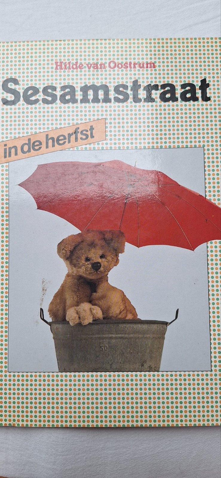 Sesamstraat in de herfst - Hilde van Oostrum, Verzenden, Hilde van Oostrum
