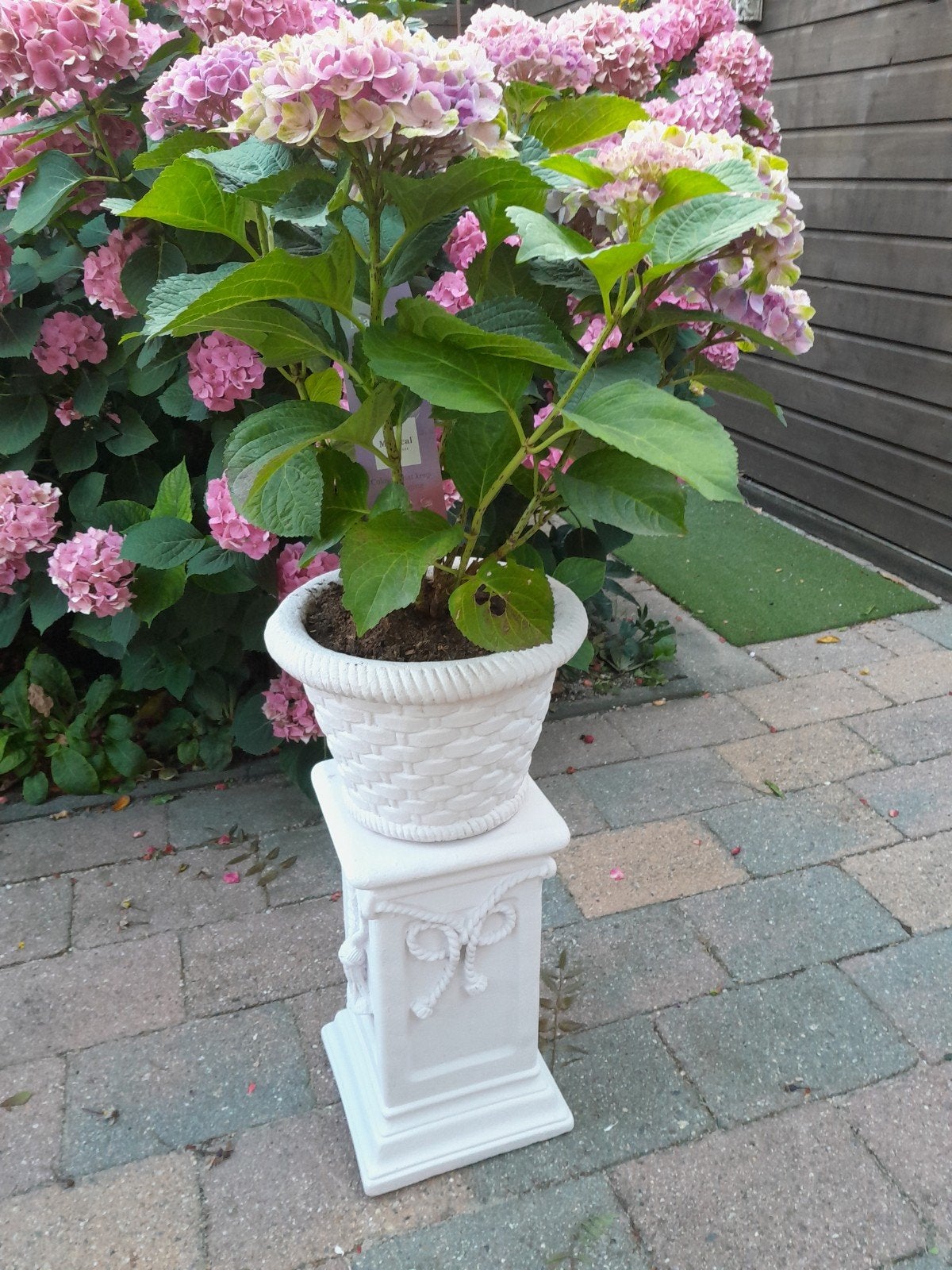 Decoratieve Sokkel/Bloemenstandaard - Wit, Ophalen, Gebruikt, Minder dan 60 cm, Vierkant