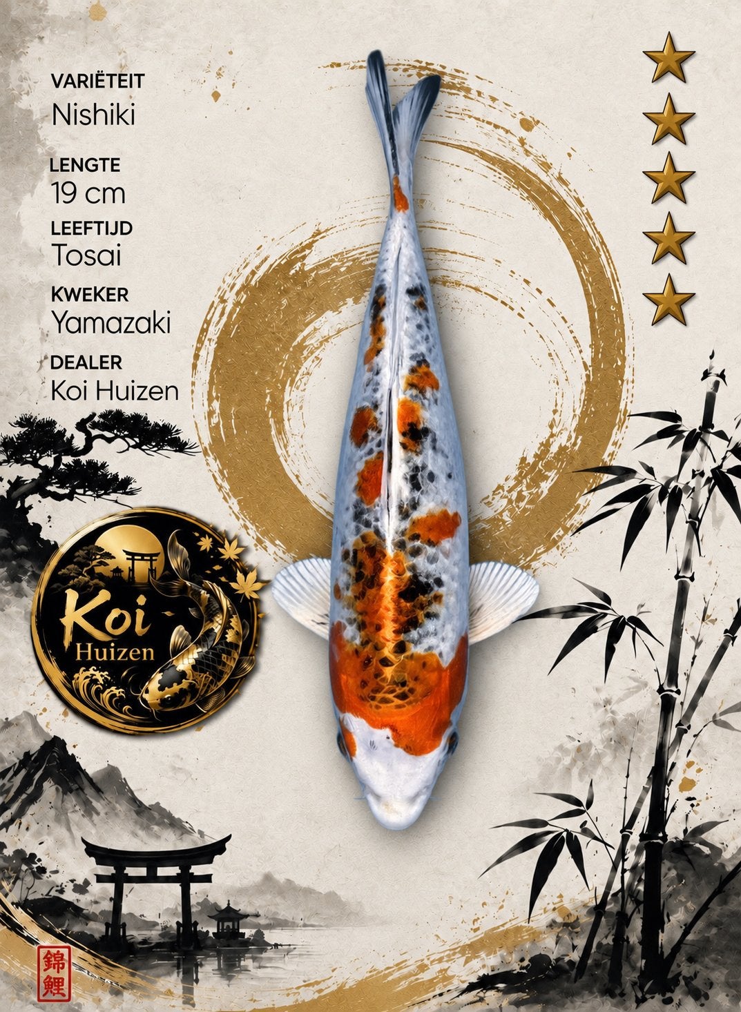 Nishiki Koi 19cm, Karper of Koi