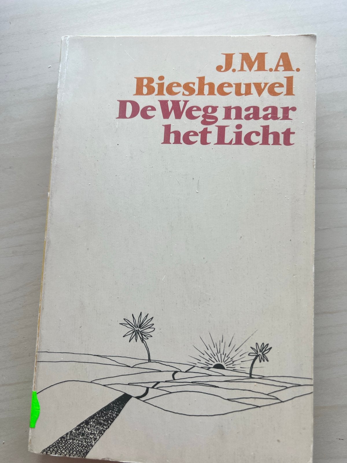 J.M.A. Biesheuvel - De Weg naar het Licht, Boeken, Ophalen of Verzenden, Gelezen, Nederland