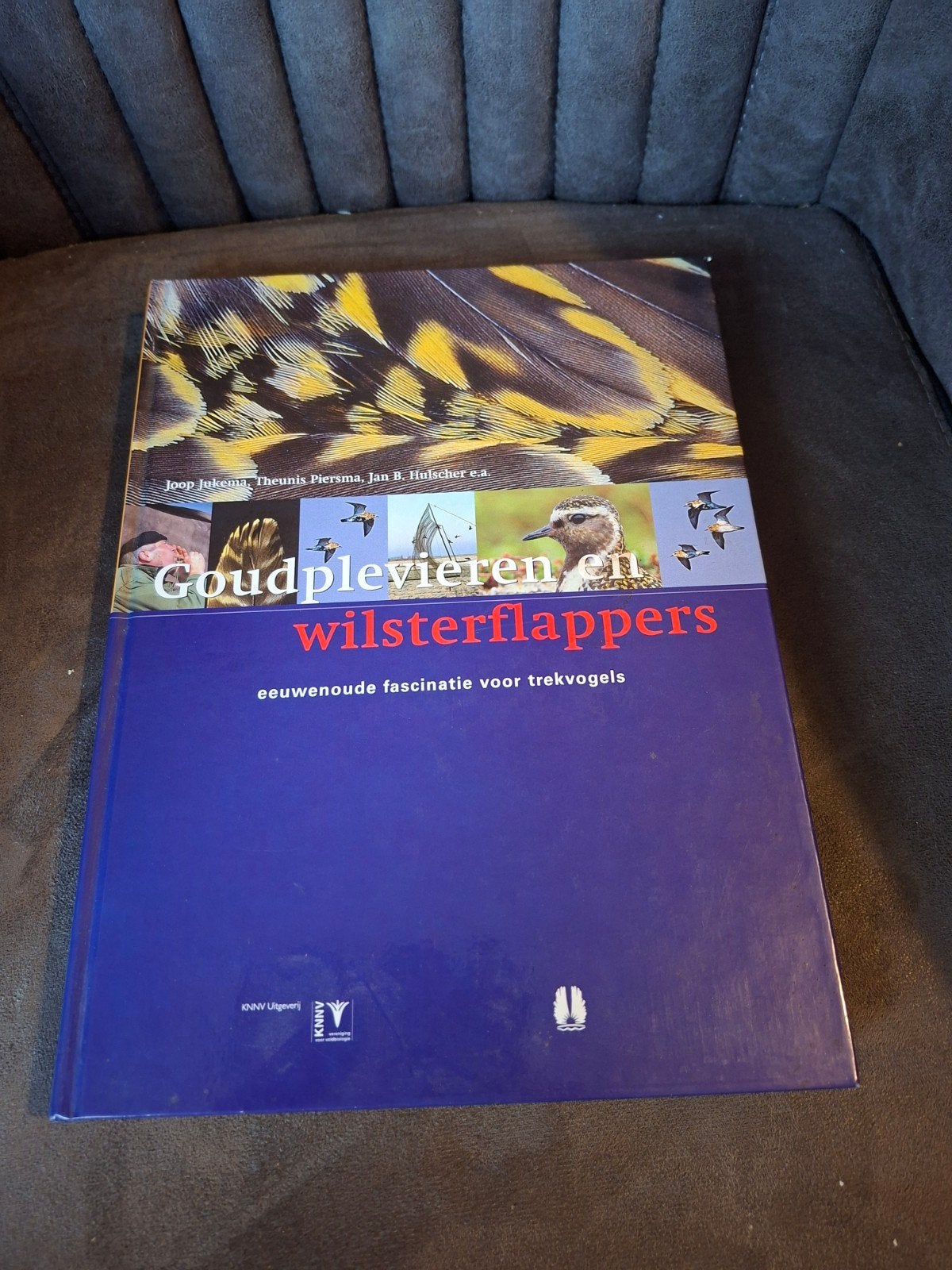 Goudplevieren en Wilsterflappers - TrekVogels Boek, Ophalen of Verzenden, Gelezen