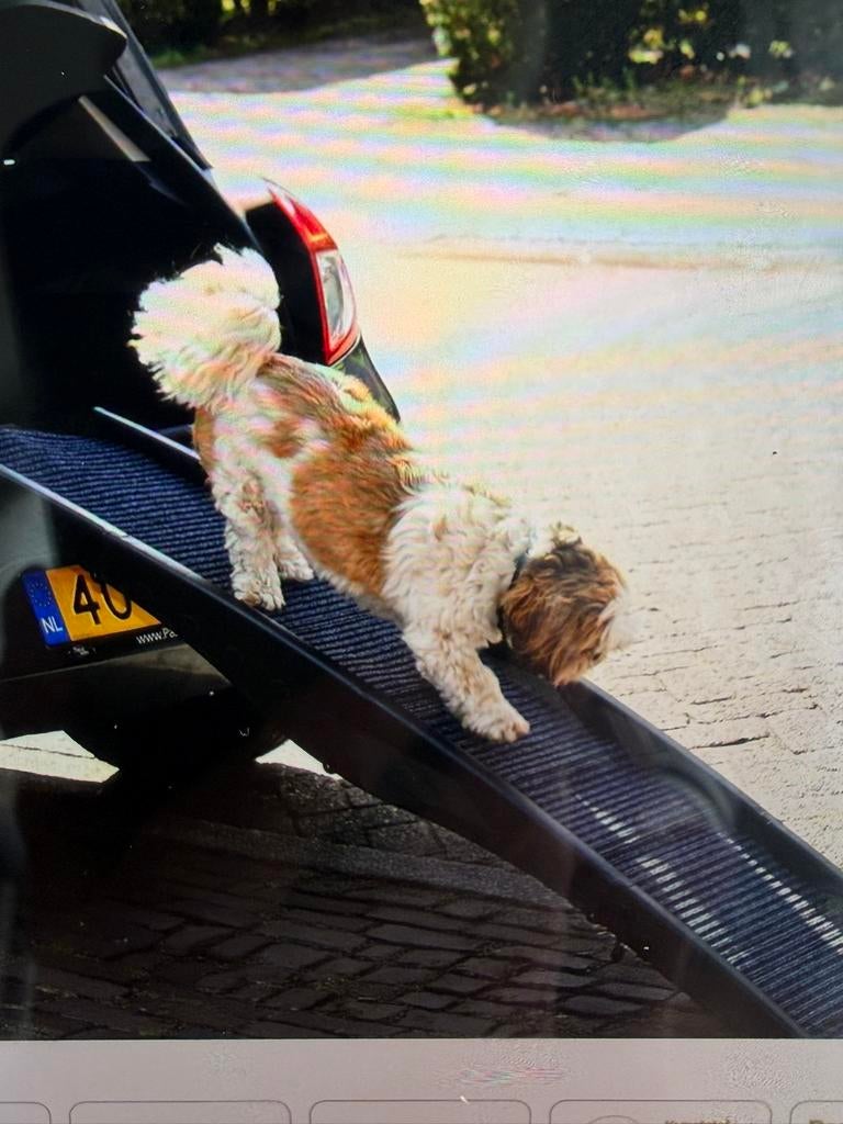 Honden loopplank, Ophalen, Nieuw