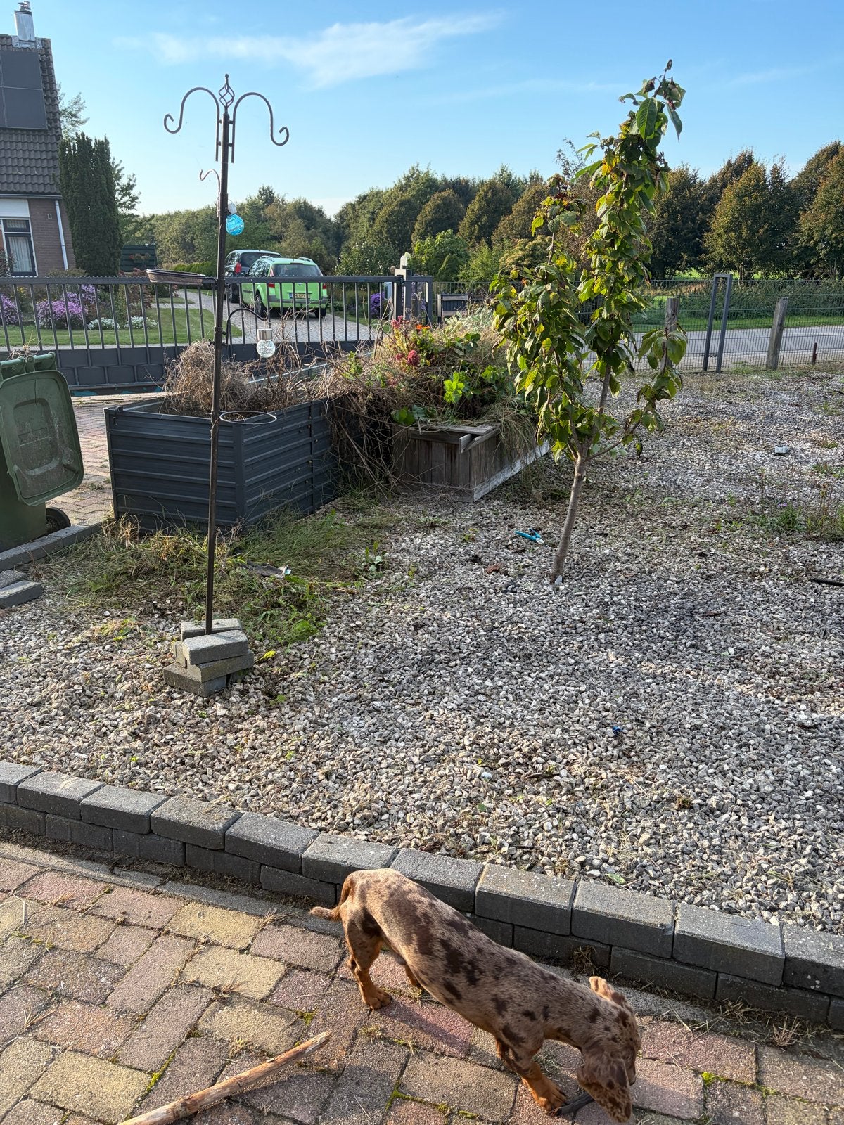 Grind voor tuin of oprit, Tuin en Terras, Ophalen, Gebruikt, Grijs, Grind