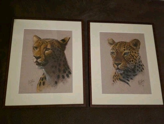 Derek Millier Pastel Schilderij - Fotorealistische Cheeta, Ophalen of Verzenden, Schilderij, Pasteltekening, Origineel