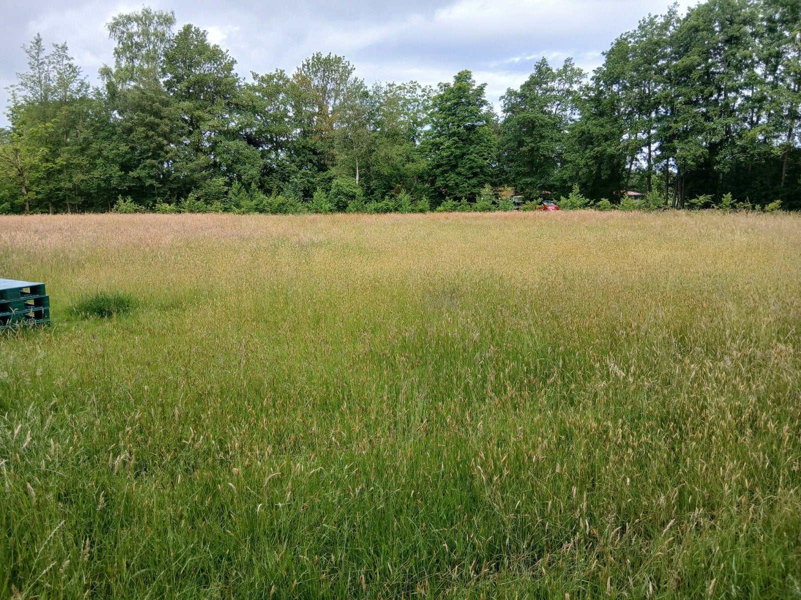 Gratis natuurhooi, in Donkerbroek, zelf maaien e.d., Dieren en Toebehoren, Dierenvoeding, Vee, Ophalen