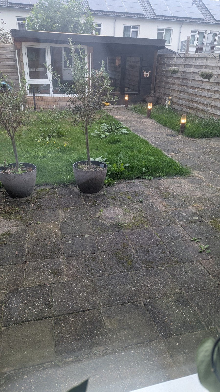 gezocht Tuinman, Tuinonderhoud of Snoeiwerk