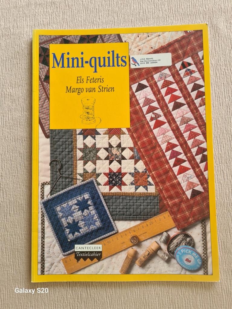 Mini-quilts: Inspiratie en patronen voor kleine quilts, Ophalen of Verzenden, Gelezen, Borduren en Naaien, Els Feteris, Margo van Strien