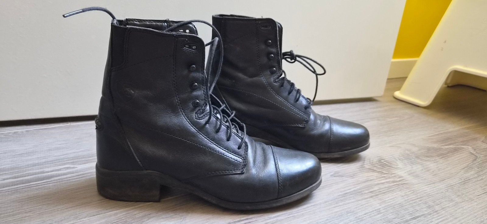 Paardrijschoenen dames, maat 36,5, Dieren en Toebehoren, Paardrijkleding, Ophalen, Gebruikt, Dressuur, Ariat