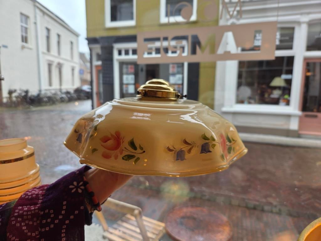 Ik ben op zoek naar dit lampen kapje., Dieren en Toebehoren, Reptielen en Amfibieën, 0 tot 2 jaar