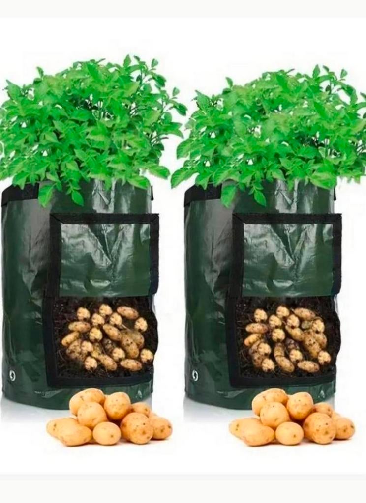 Nieuwe Kweekzakken 40L - Groen of Zwart, Ophalen of Verzenden, Nieuw, Overige typen