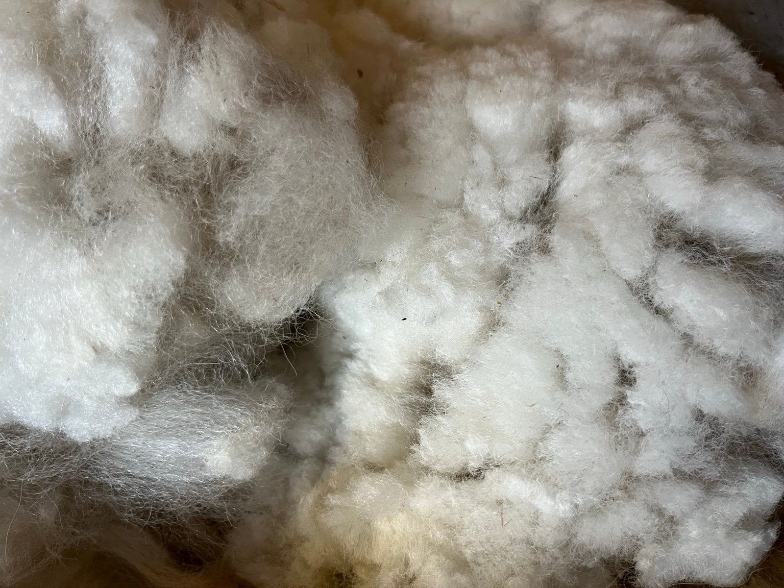 Prachtige Alpaca wol - Diverse kleuren, Ophalen of Verzenden, Nieuw, Breien of Haken, Wol of Garen