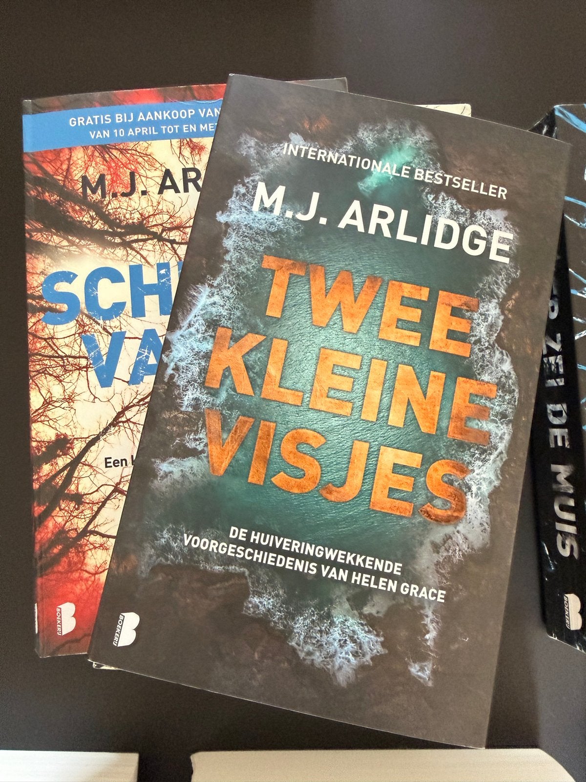 M.J. Arlidge - Twee Kleine Visjes & Schuitje Varen (thriller, Ophalen, Gelezen, Nederland