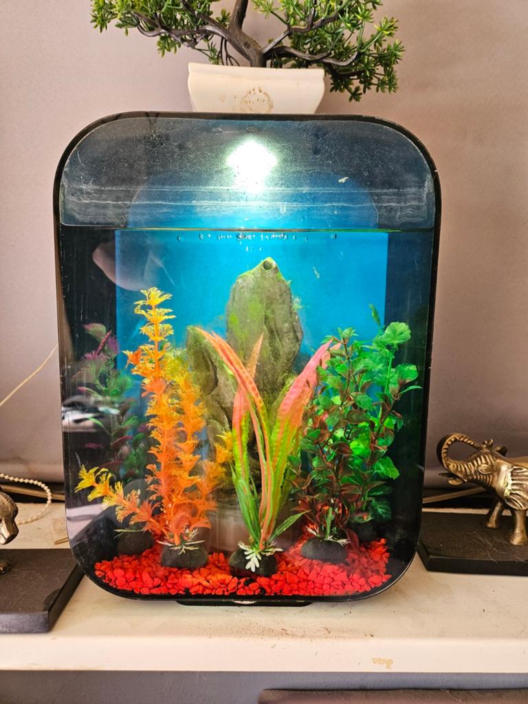 Biorb 15 Liter + Ornamenten & Warmte Element, Dieren en Toebehoren, Vissen | Aquaria en Toebehoren, Ophalen