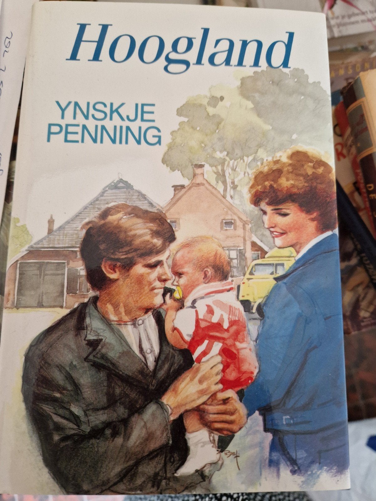 Hoogland - Ynskje Penning (Roman), Boeken, Romans, Verzenden, Gelezen, Ynskje Penning, Nederland