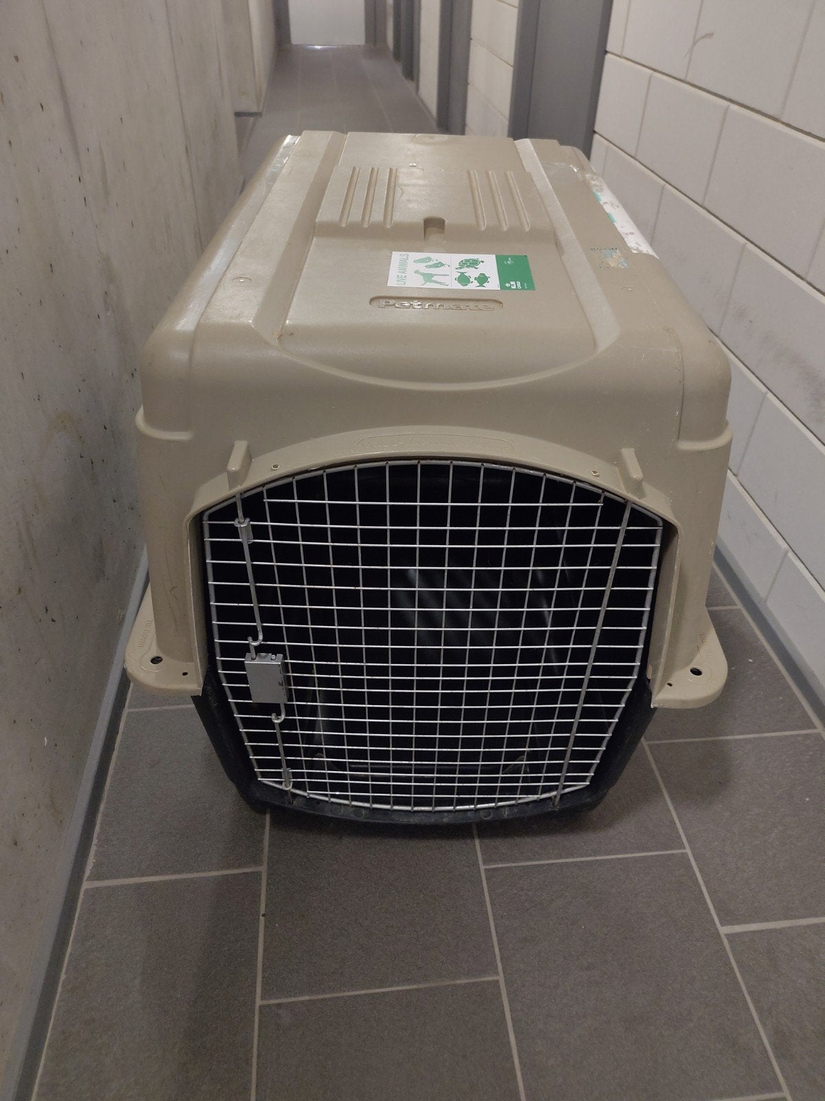 Uitstekende honden bench, Dieren en Toebehoren, Ophalen, Gebruikt