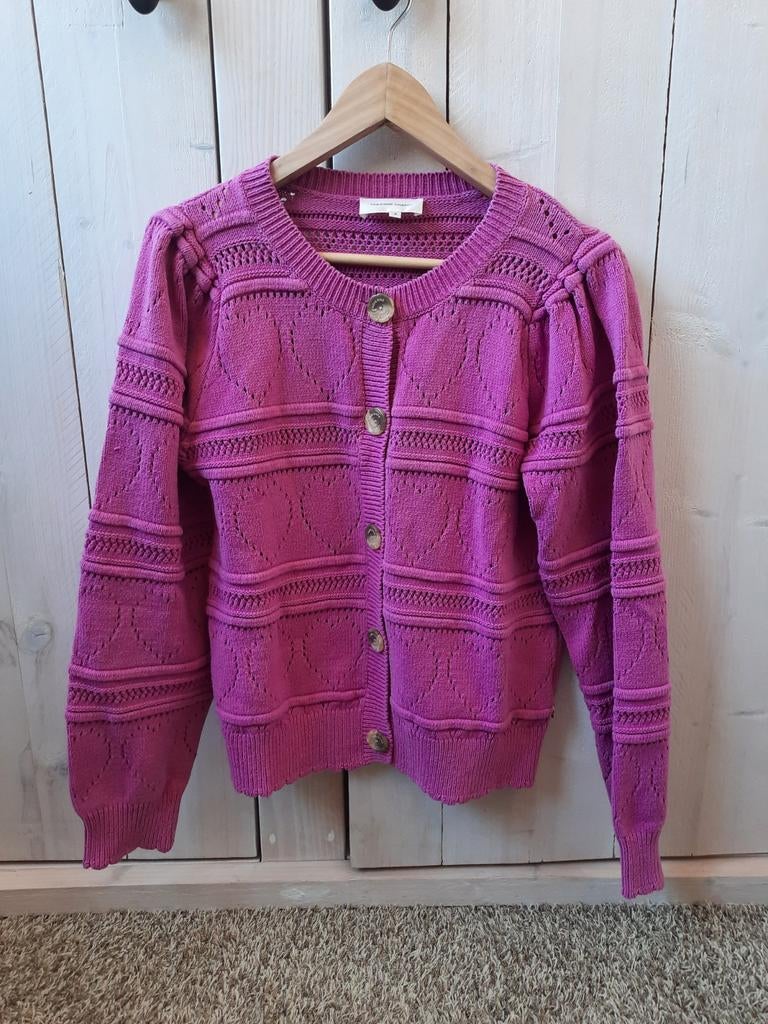 Vest Fabienne Chapot M, Maat 38/40 (M), Ophalen of Verzenden, Zo goed als nieuw, Fabienne Chapot