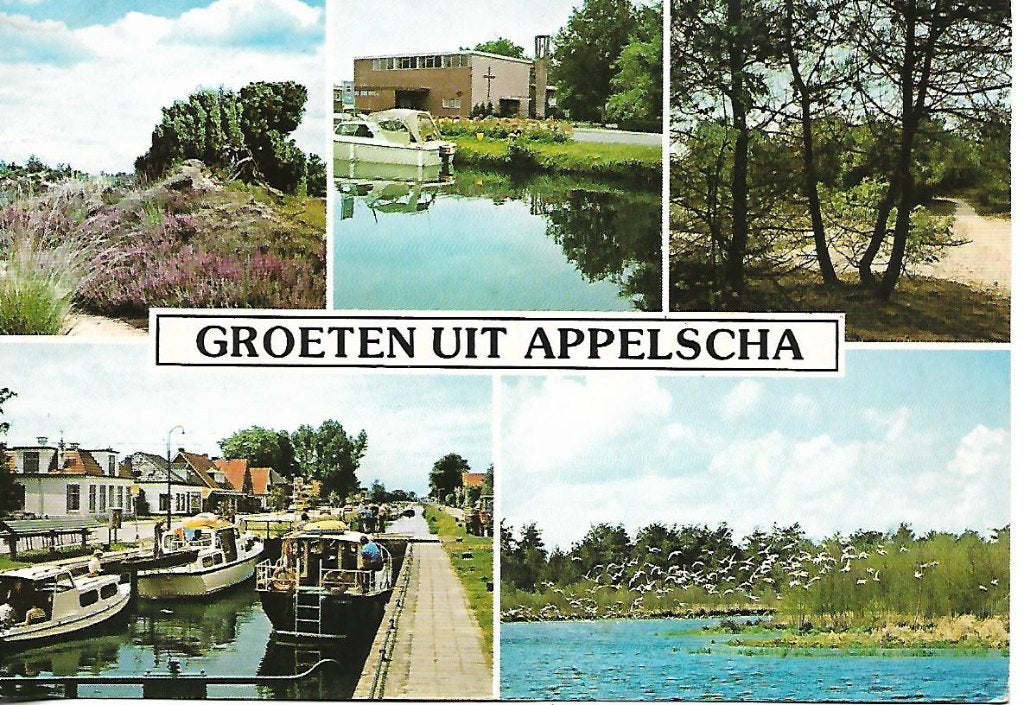 Appelscha- -5-luik., Verzenden, 1980 tot heden, Gelopen, Friesland